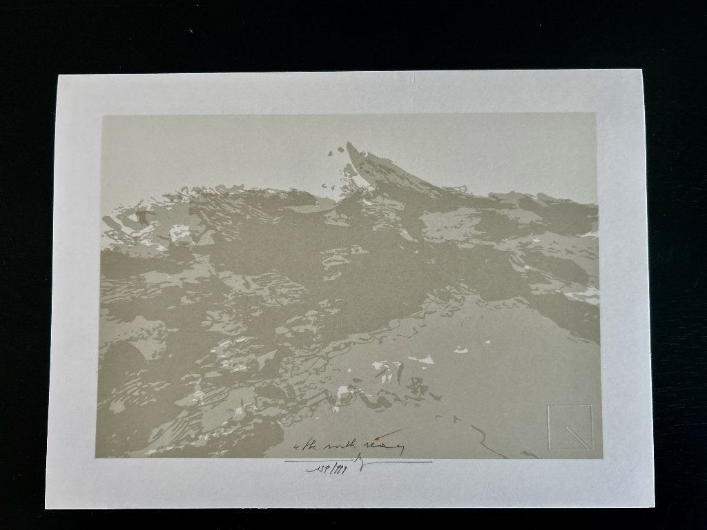 Zeefdruk Martin R. Baeyens - North sea  ZOMEROPRUIMING, Gesigneerd, Verzenden, Zeefdruk