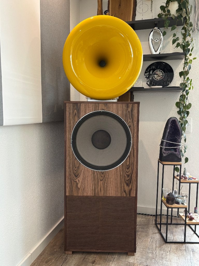 Big Mama Hornsystem JBL BMS High End, Audio, Tv en Foto, Luidsprekers, Ophalen, Gebruikt, Subwoofer, JBL
