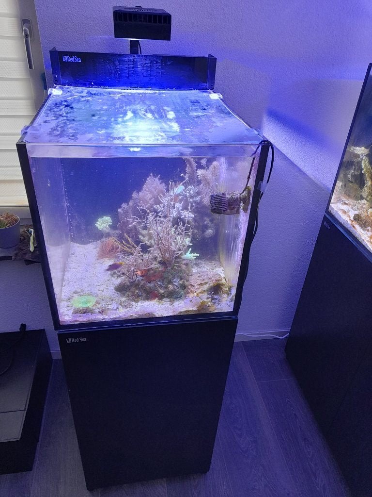 Red Sea Max Peninsula, Dieren en Toebehoren, Vissen | Aquaria en Toebehoren, Ophalen, Red Sea, Zo goed als nieuw, Leeg aquarium