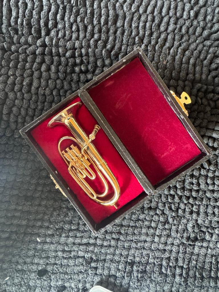 Miniatuur Euphonium  in Doosje, Ophalen of Verzenden, Zo goed als nieuw, Overige soorten, Met koffer of draagtas