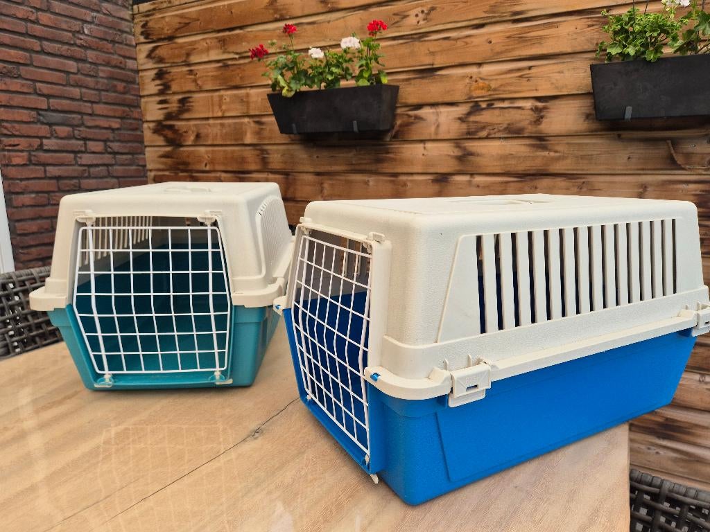 Konijnen/katten reiskooi 57x36x32cm, Gebruikt, Minder dan 75 cm, Reiskooi of Transportbox, Konijn