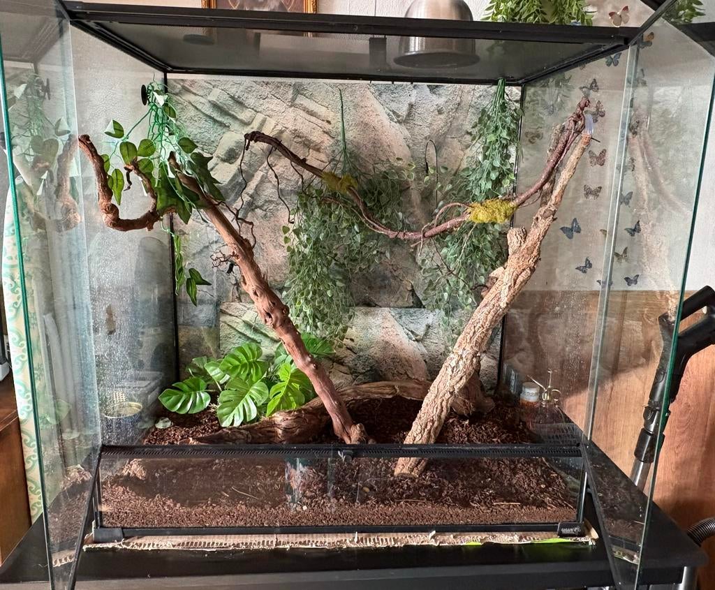 Terrarium met toebehoren, Dieren en Toebehoren, Reptielen en Amfibieën | Toebehoren, Ophalen, Zo goed als nieuw