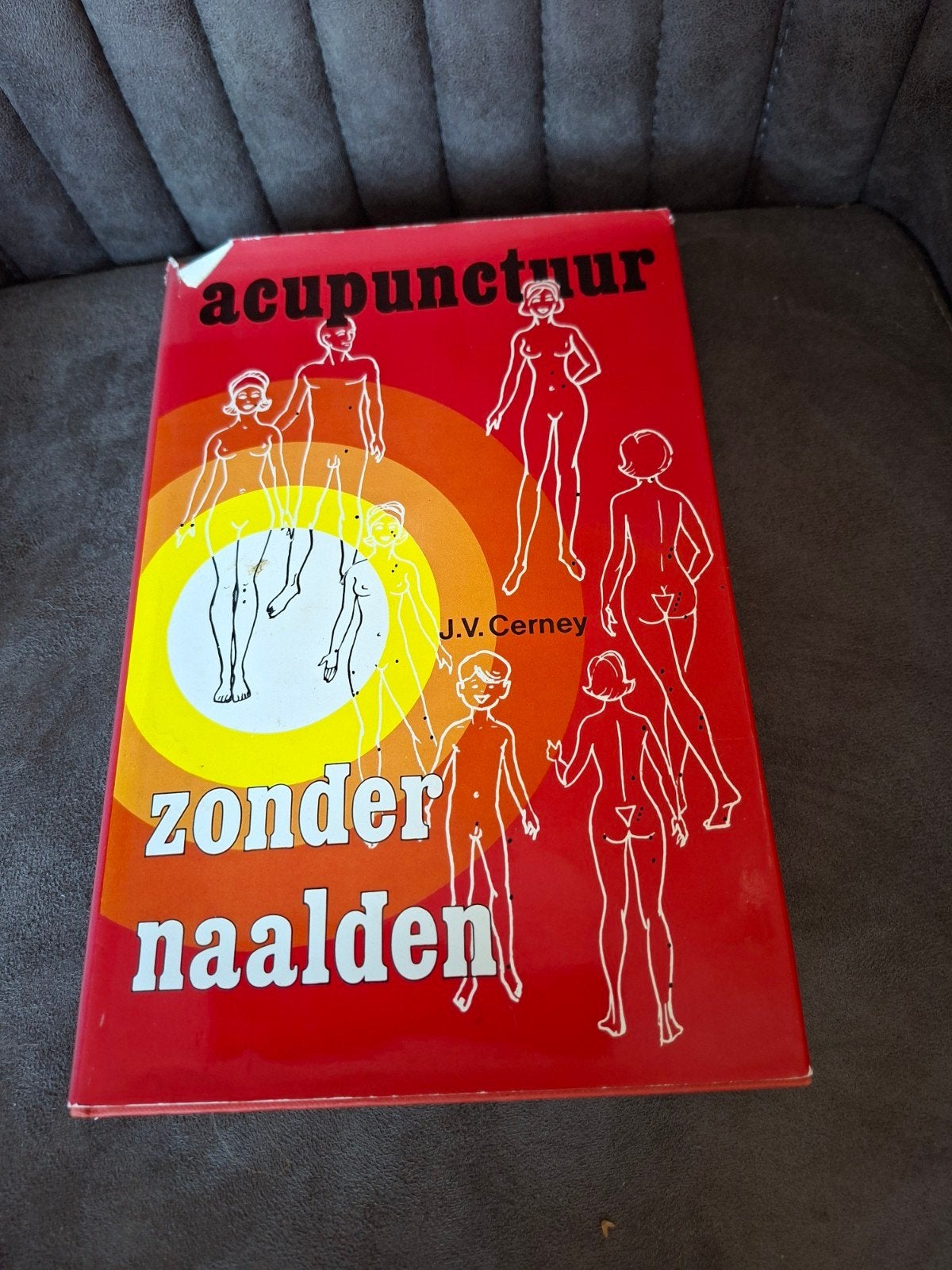 Acupunctuur zonder naalden Cerney, Ophalen of Verzenden, Gelezen