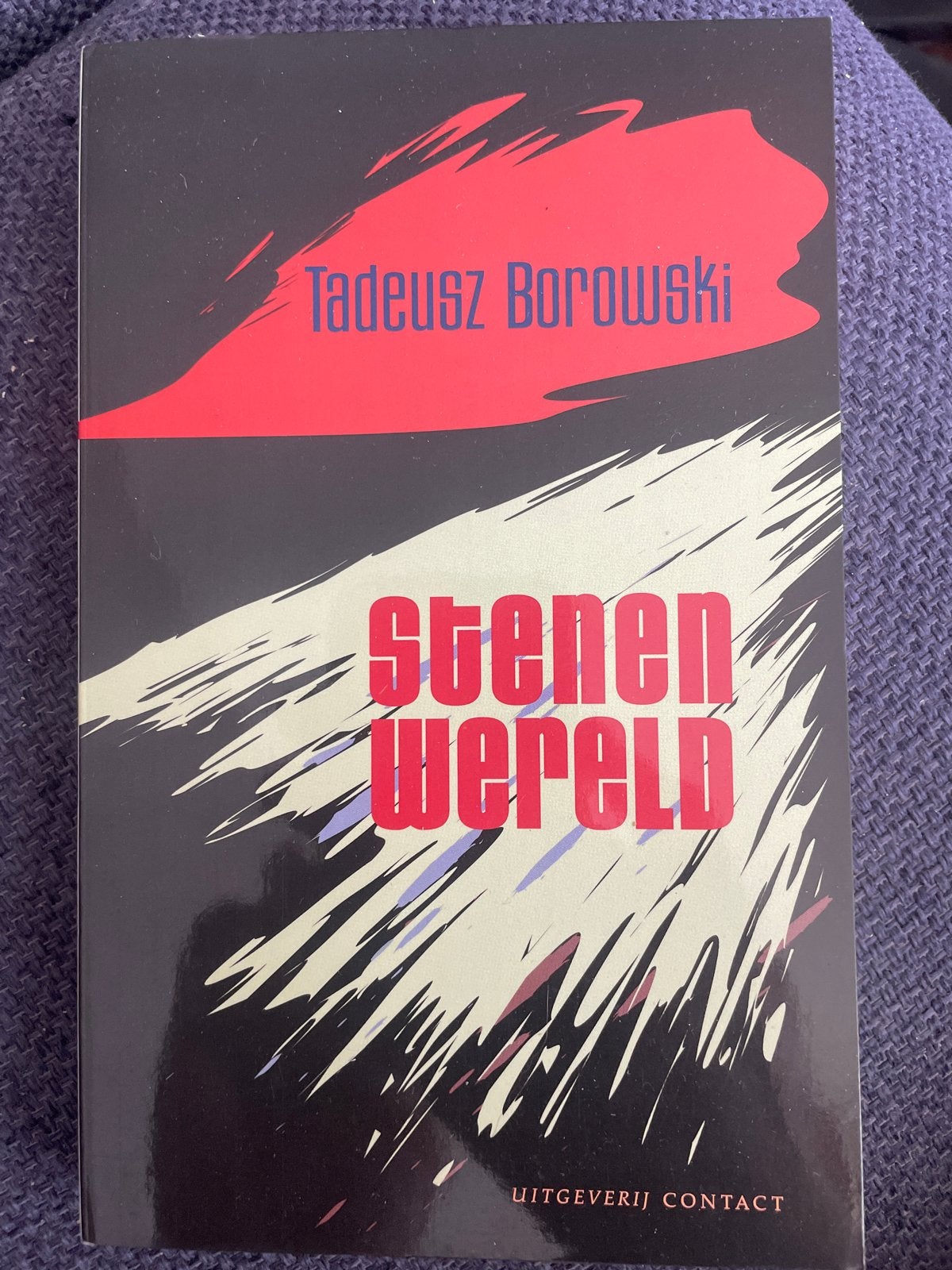 Stenen Wereld - Tadeusz Borowski, Ophalen of Verzenden, Zo goed als nieuw, Europa overig