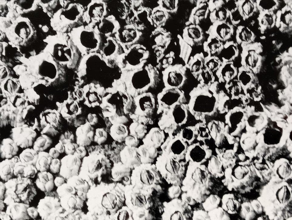 Piet Goede experimentele zero nul foto, Ophalen of Verzenden