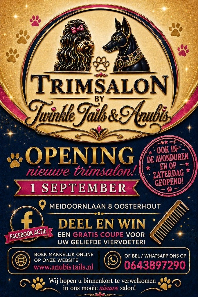 Hondentrimsalon, Trimmen of Verzorging