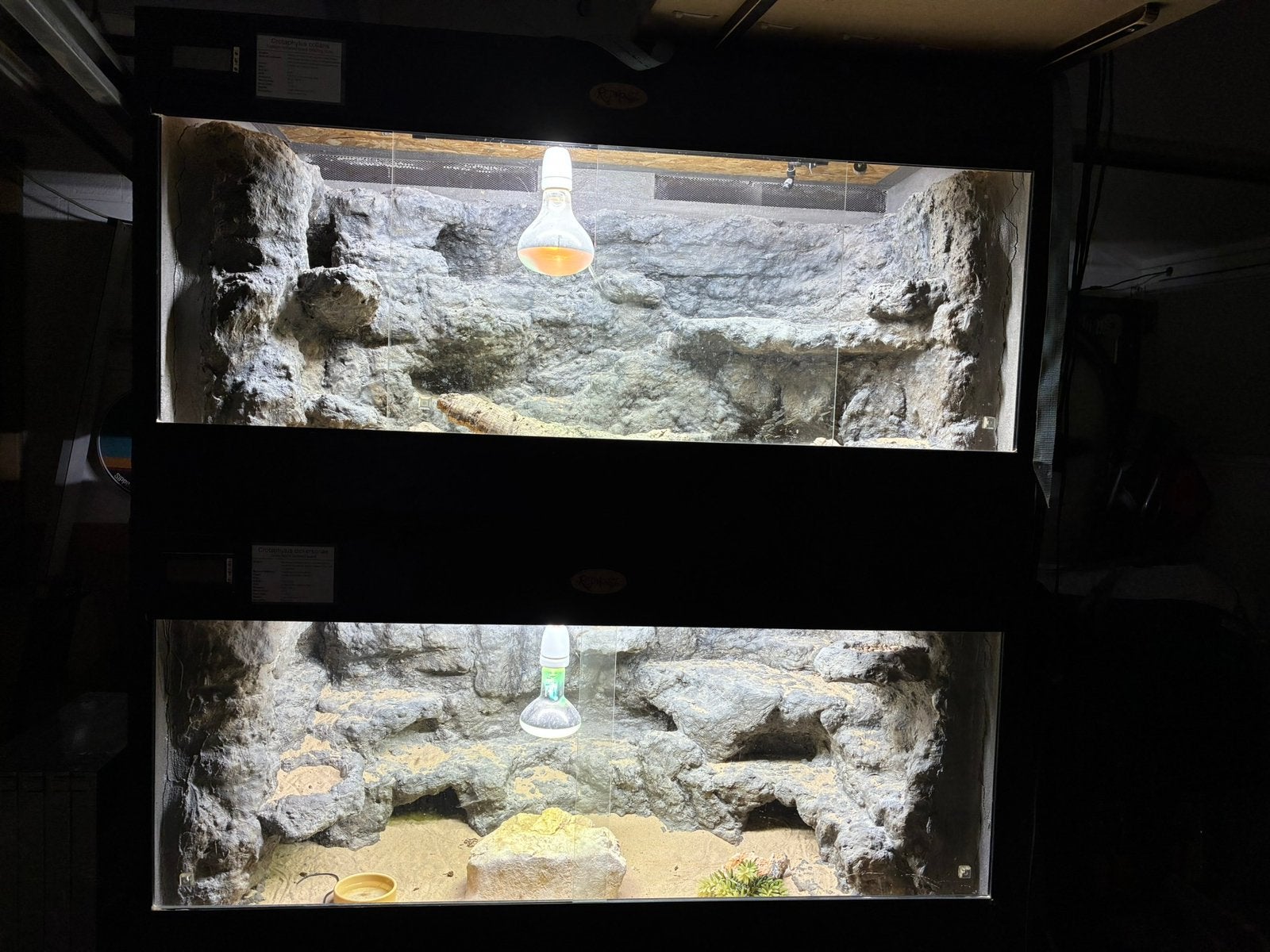 Twee zwarte OSB terrariums met custom achterwanden te koop, Ophalen, Zo goed als nieuw