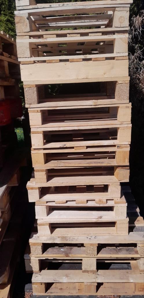 Wegwerp  pallets, Ophalen, Overige houtsoorten, Minder dan 200 cm, Pallet