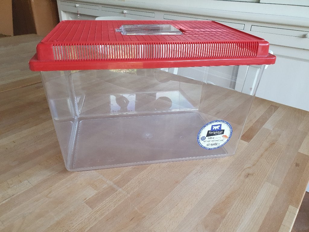 Terrarium - plastic, Dieren en Toebehoren, Ophalen, Zo goed als nieuw, Terrarium of Paludarium