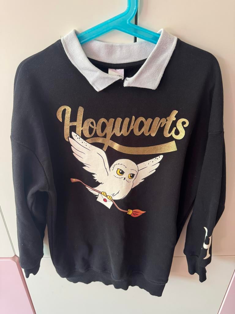 Hogwarts Harry Potter trui met kraag - Maat 128, Kinderen en Baby's, Ophalen of Verzenden, Zo goed als nieuw, Meisje, Trui of Vest