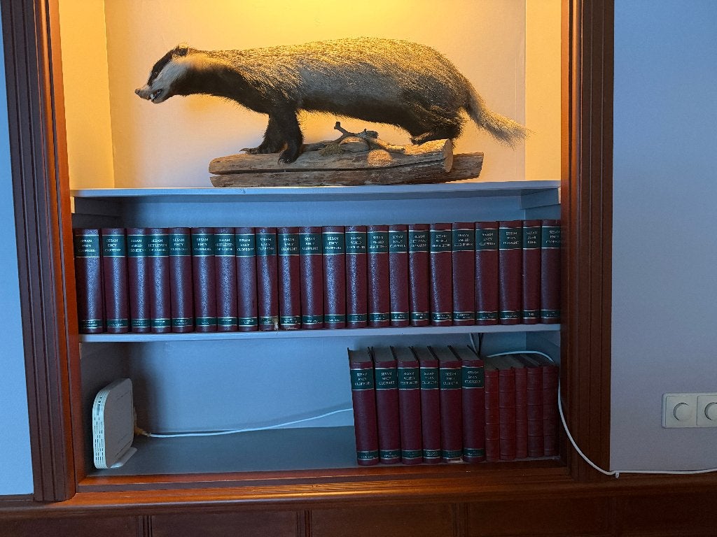 Sesam encyclopedie  28 stuks, Boeken, Complete serie, Algemeen, Ophalen, Onbekend
