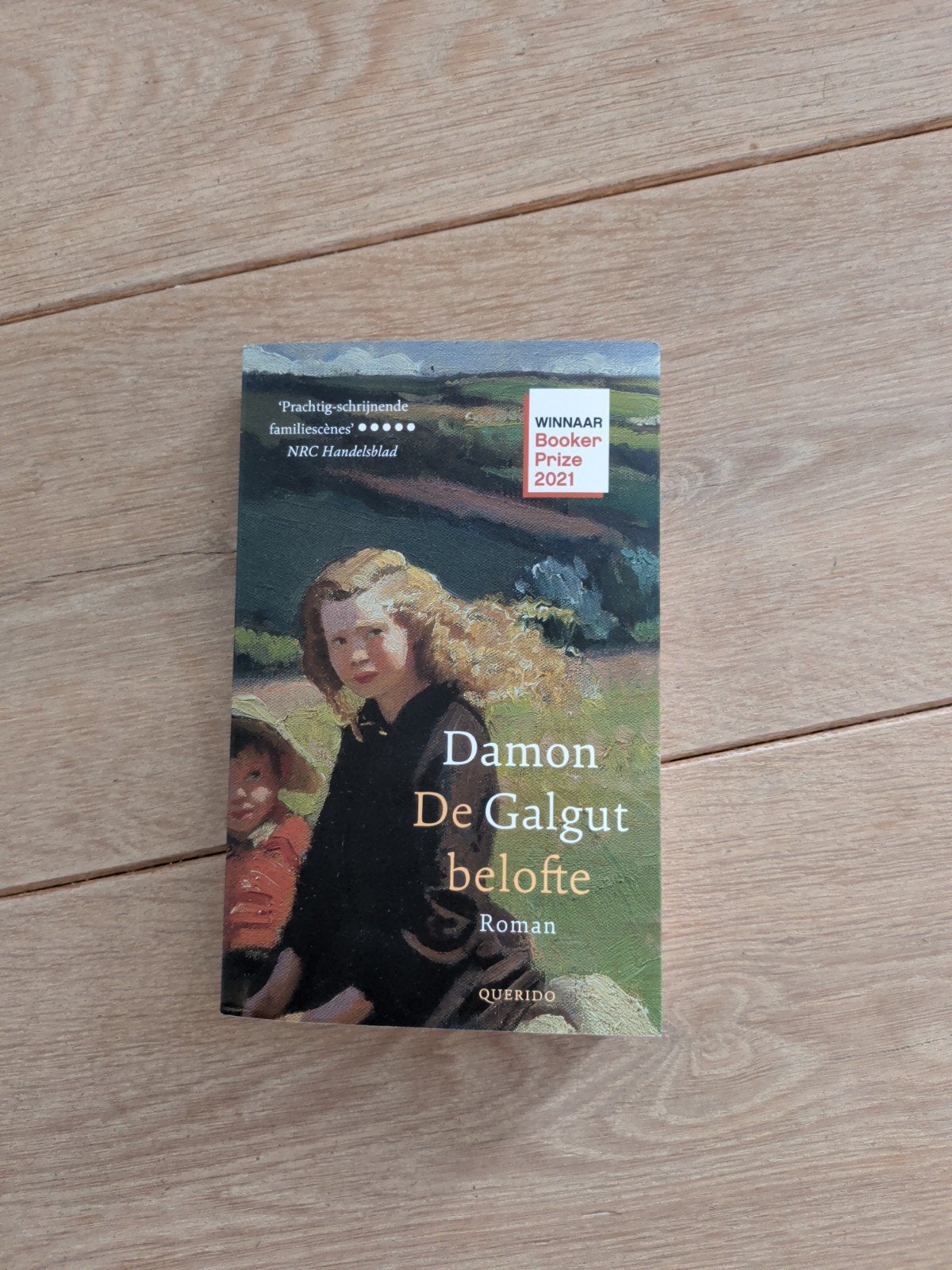 De Galgut belofte - Damon Galgut (Boeker Prize 2021), Ophalen of Verzenden, Zo goed als nieuw, Damon Galgut, Wereld overig