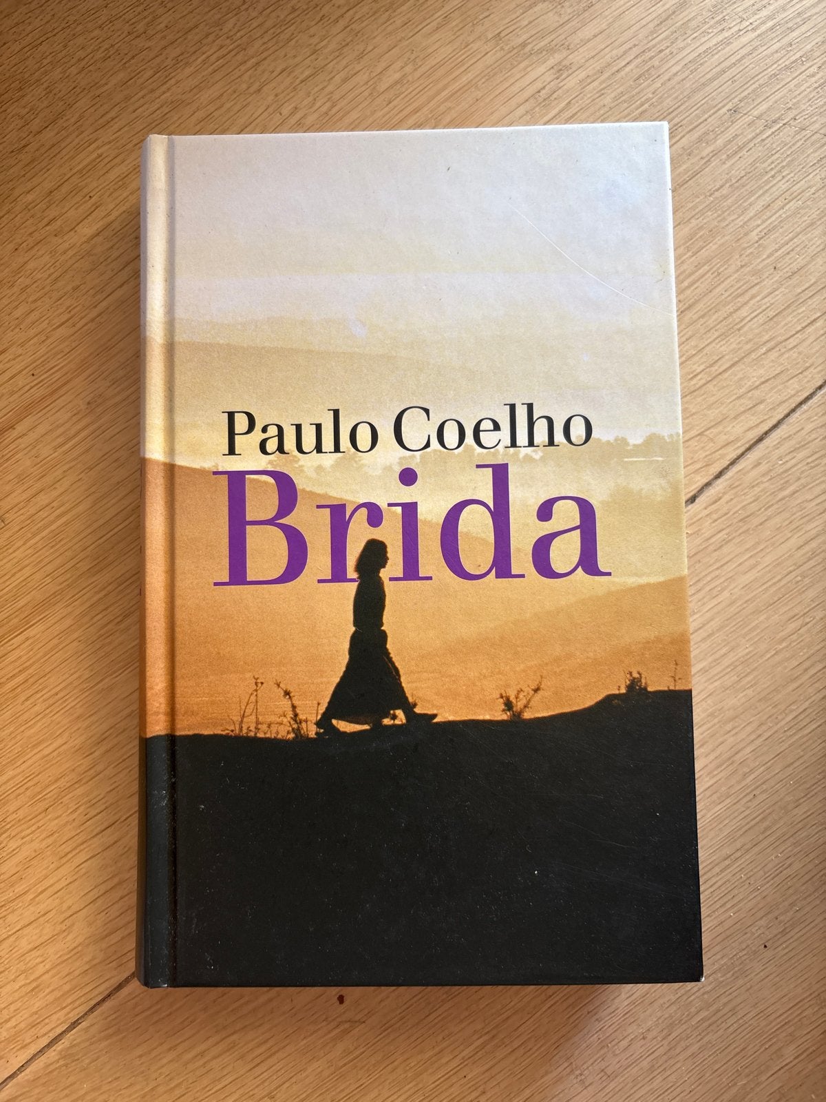 Brida - Paulo Coelho (Boek), Ophalen of Verzenden, Zo goed als nieuw, Europa overig