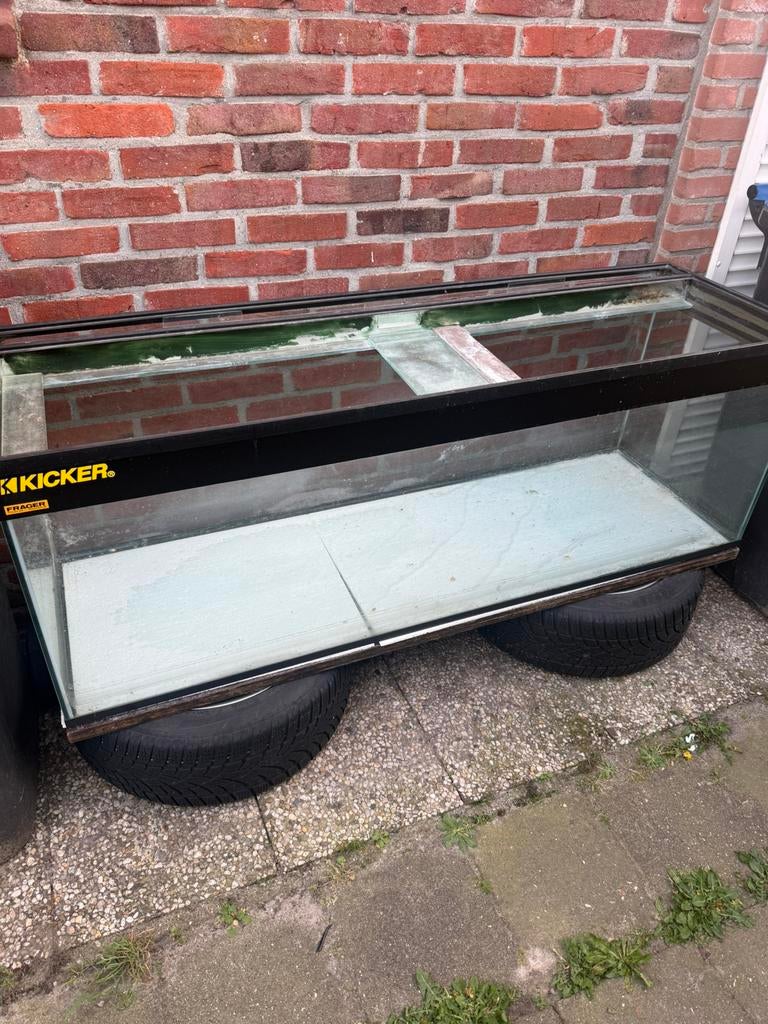 Aquarium/ terarium 400 liter ongeveer, Dieren en Toebehoren, Reptielen en Amfibieën | Toebehoren, Ophalen, Zo goed als nieuw