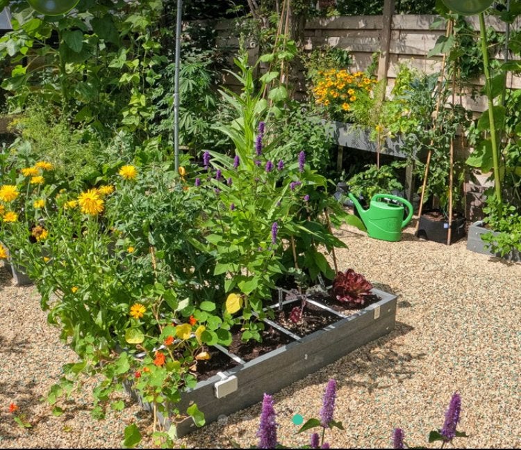 Mooie Makkelijke Moestuin grondbak 120x120 met klimrek- Hero, Ophalen, Kunststof, Gebruikt, Minder dan 30 cm