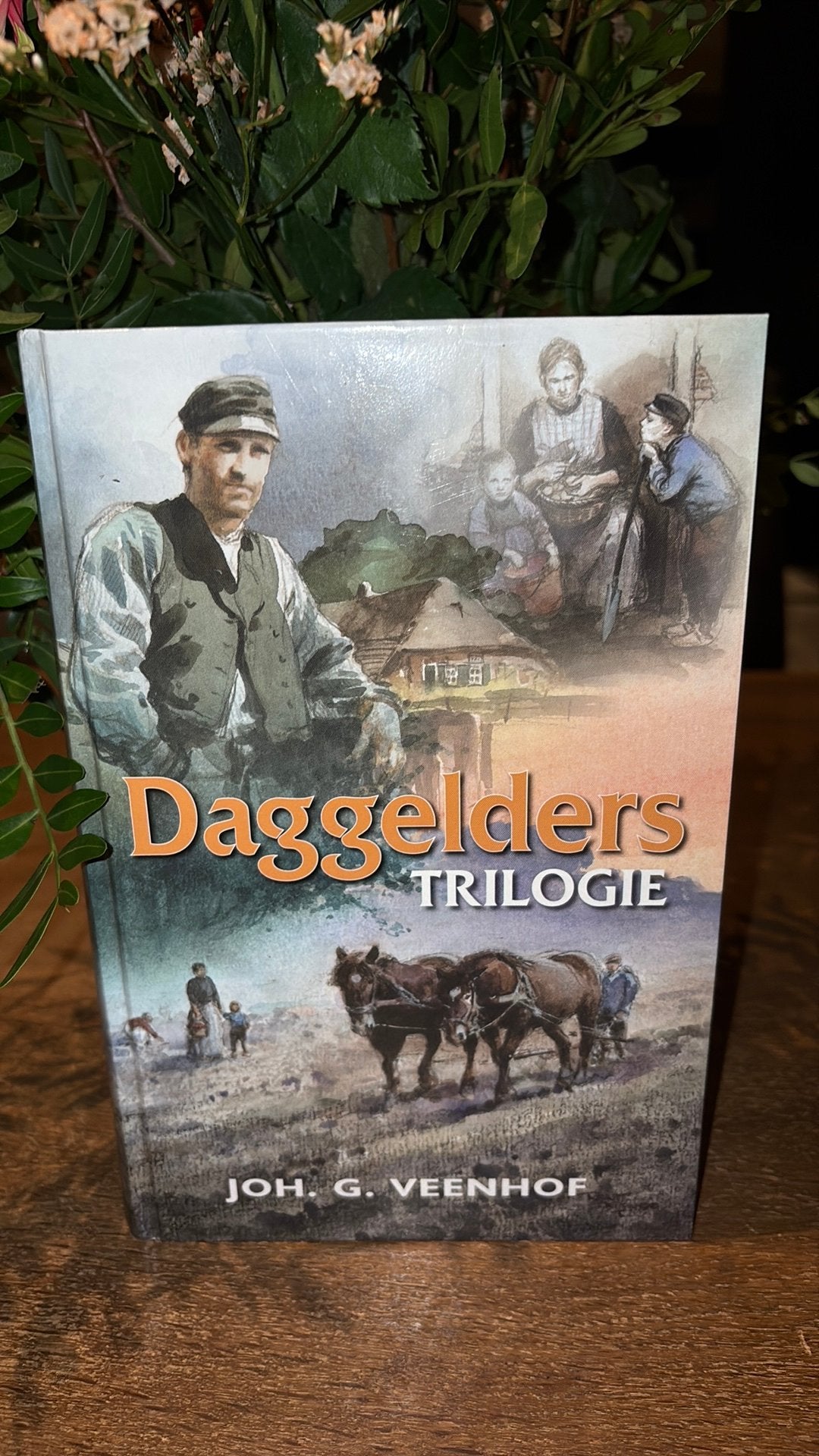 Joh G. Veenhof - Daggelderstrilogie, Boeken, Joh G. Veenhof, Noord-Brabant, Ophalen of Verzenden, Zo goed als nieuw