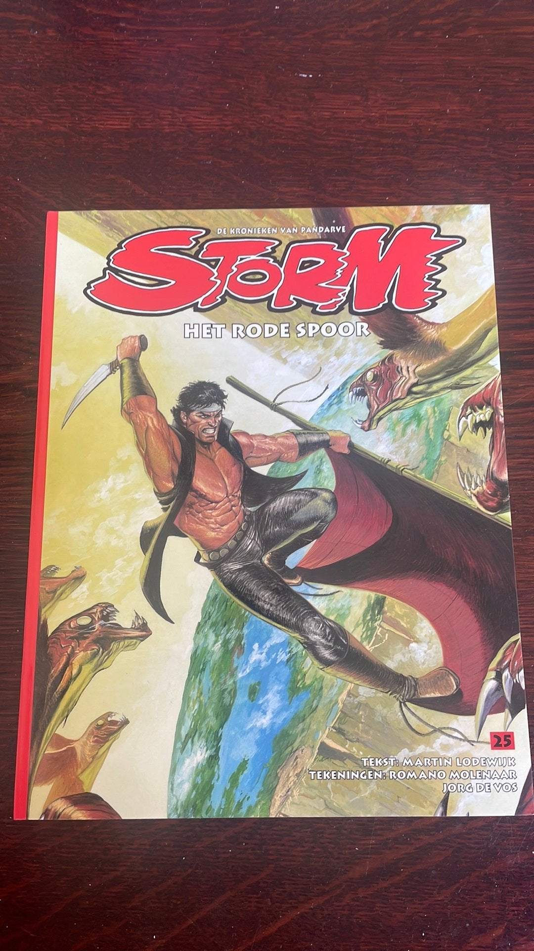 Storm - de kronieken van pandarve - Het rode spoor, Boeken, Eén stripboek, Ophalen of Verzenden, Zo goed als nieuw, Martin Lodewijk