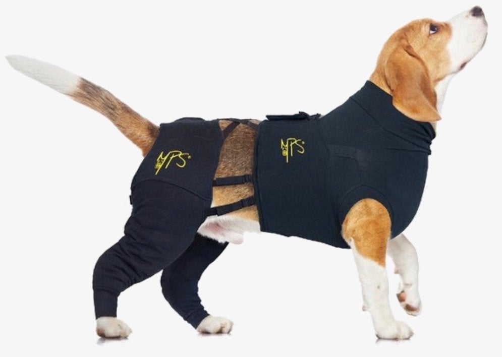 MPS honden romper operatie maat S, Dieren en Toebehoren, Overige hondenkleding, S, Medical Pet Shirt, Ophalen of Verzenden