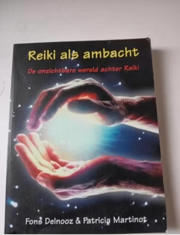 Fons Delnooz - Reiki als ambacht, Boeken, Ophalen of Verzenden, Zo goed als nieuw