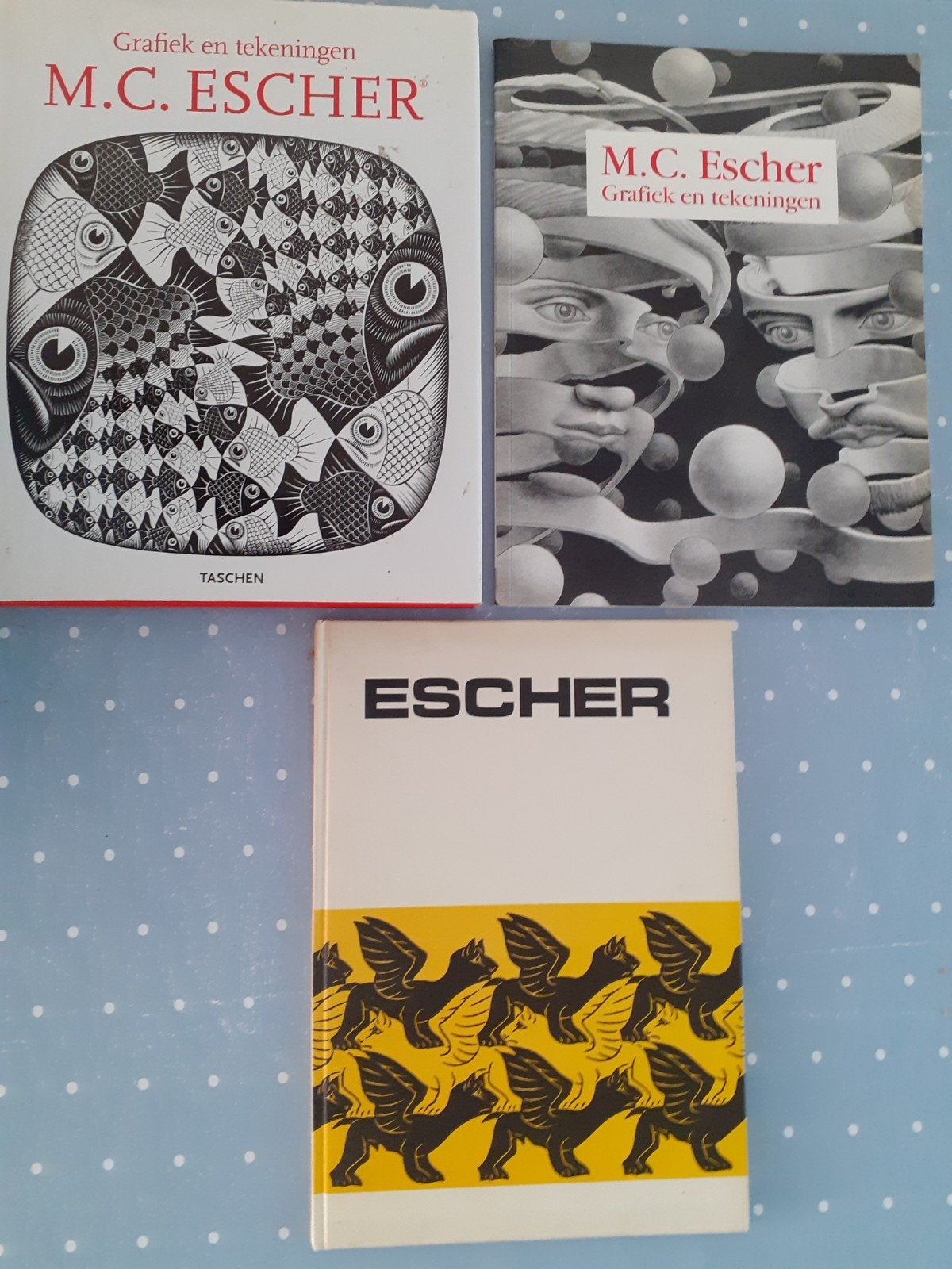 M. C. Escher, grafiek en tekeningen, door M. C. Escher, Ophalen of Verzenden, Zo goed als nieuw, Architecten