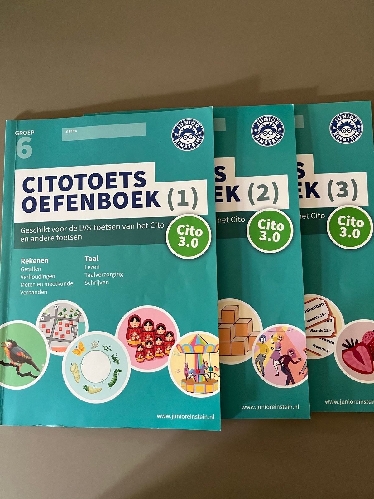 CitoToets Oefenboek Groep 6 (1, 2, 3) - Junior Einstein, Ophalen, Gelezen, Overige niveaus, Nederlands