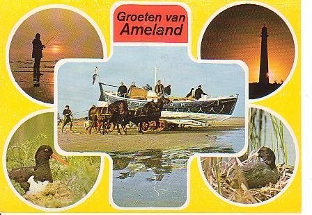 Ansichtkaart 	Ameland	5-luik	Paarden, Verzenden, 1980 tot heden, Gelopen, Waddeneilanden