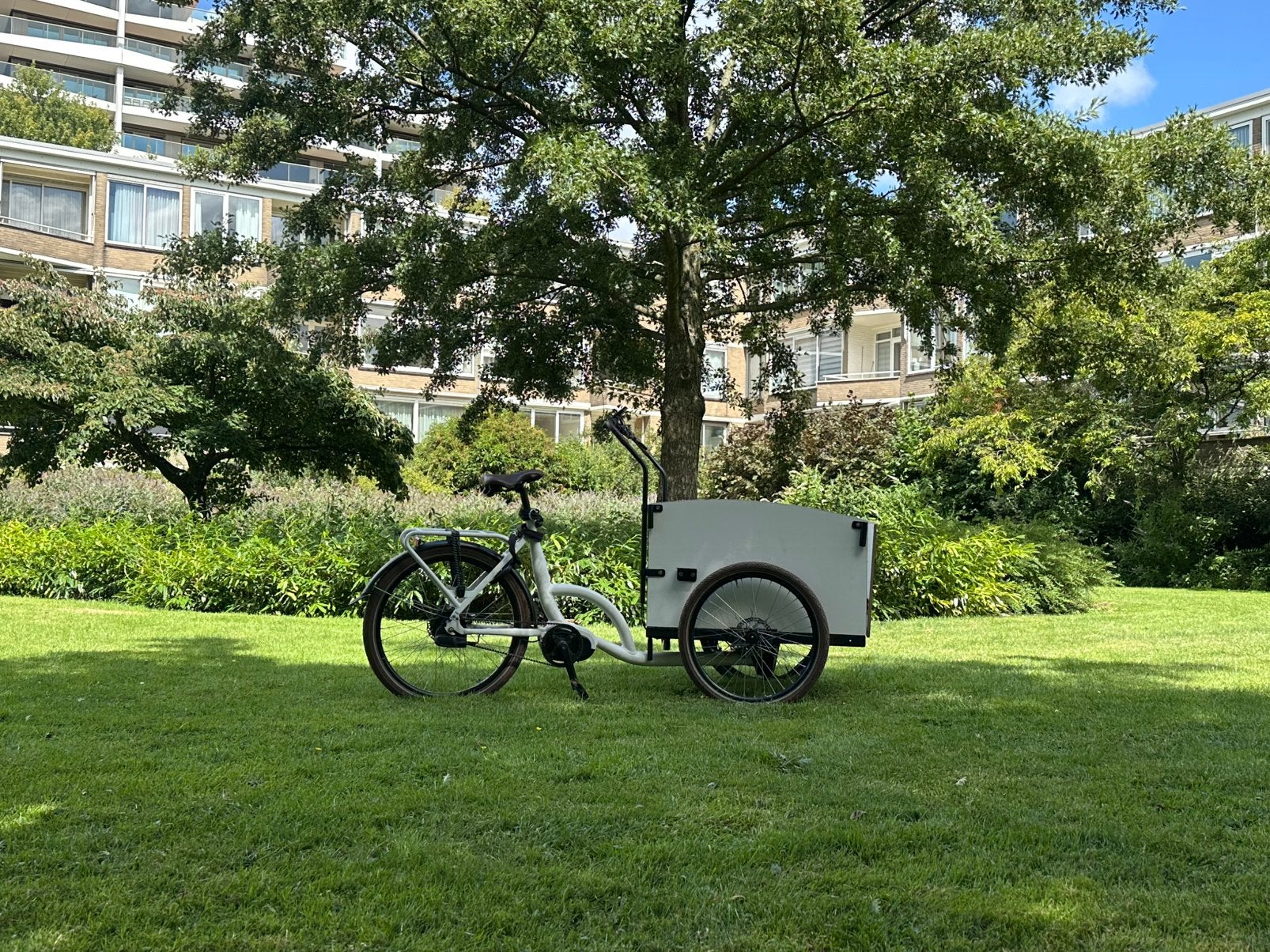 Bimas ecargo elektrische bakfiets - Nieuwe batterij nodig, Overige merken, Gebruikt, Goederen, Elektrisch