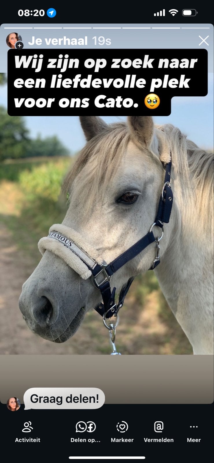 Welsh Pony te koop, Dieren en Toebehoren, Merrie