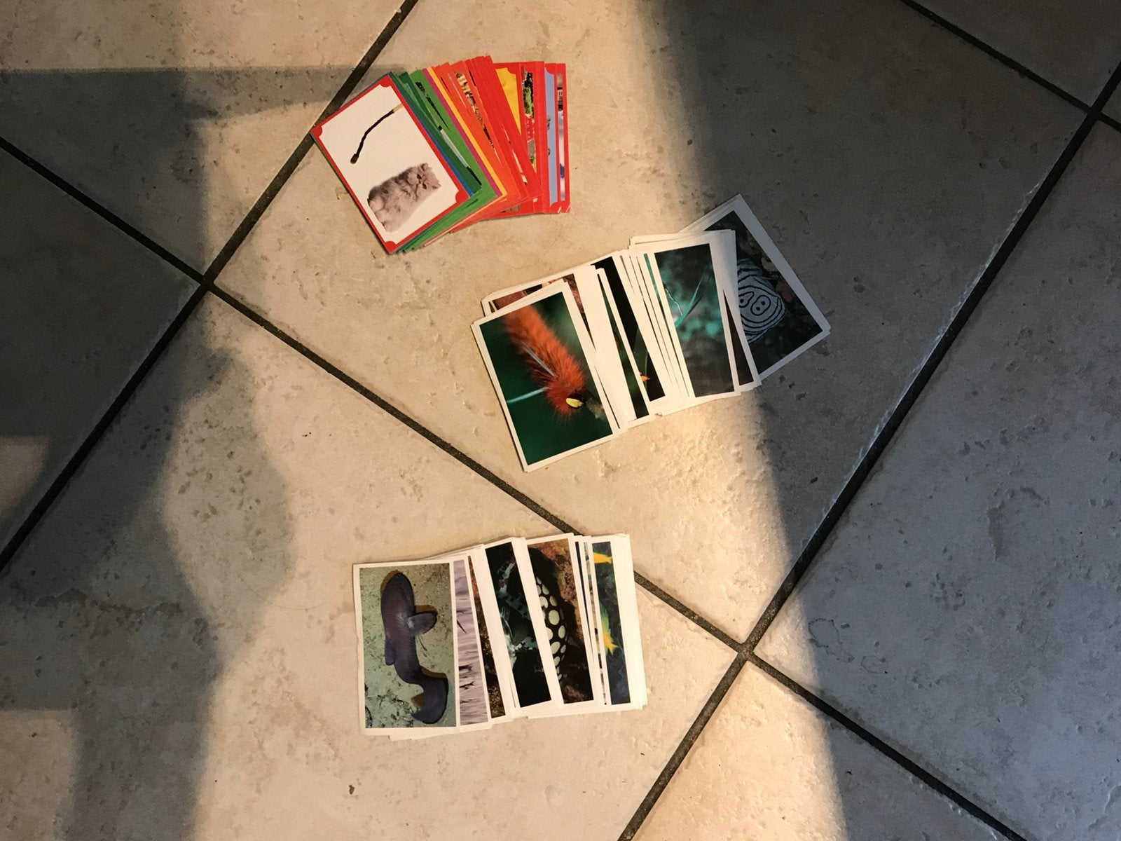 Stickers van de spar voor 3 verschillende boeken, Verzamelen, Spar, Ophalen of Verzenden