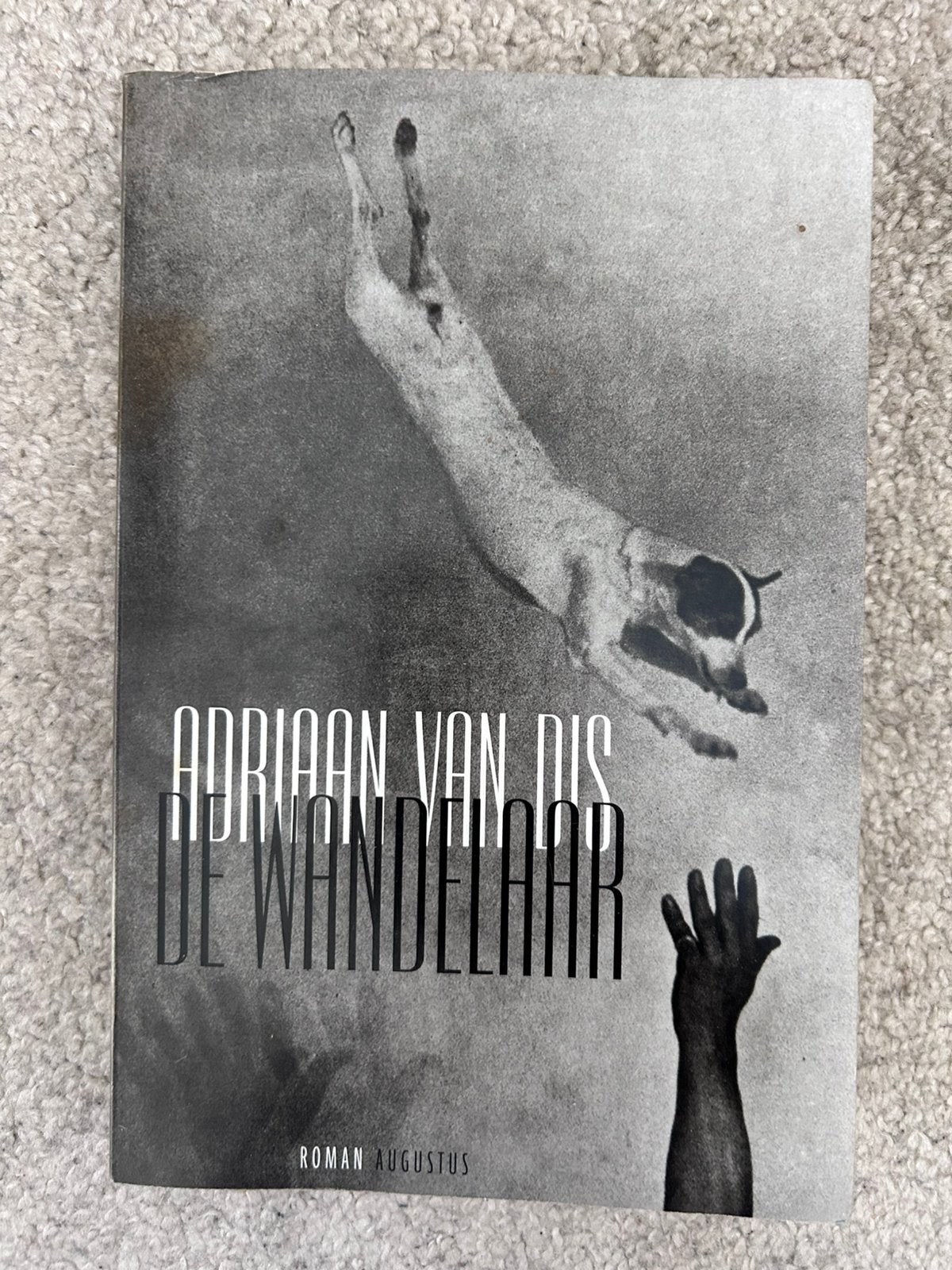 Adriaan van Dis - De wandelaar, Ophalen of Verzenden, Zo goed als nieuw, Adriaan van Dis