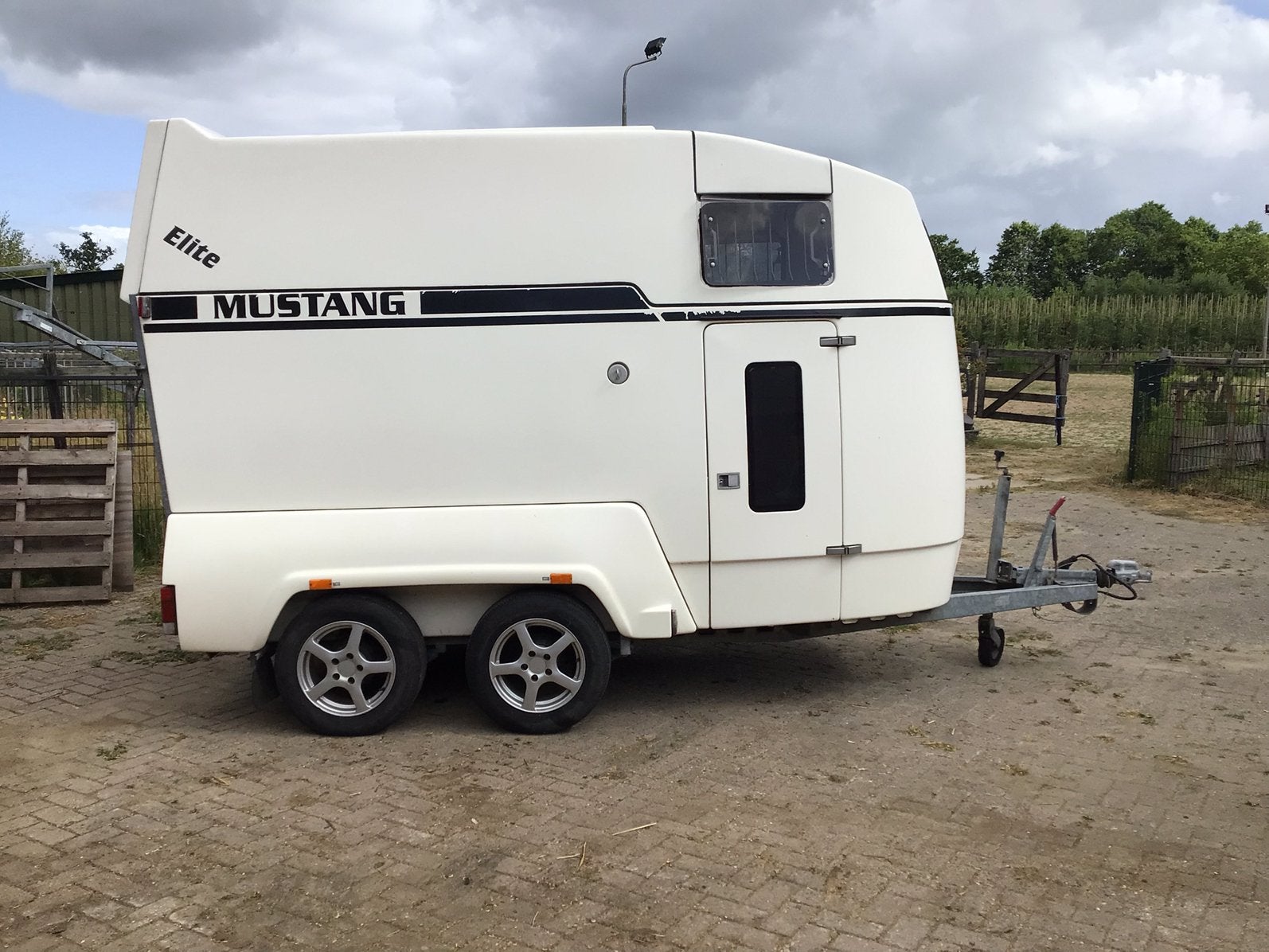 Te koop:Mustang Elite 2 paards trailer met veel opties., Dieren en Toebehoren, Paarden en Pony's | Trailers en Aanhangwagens, Ophalen