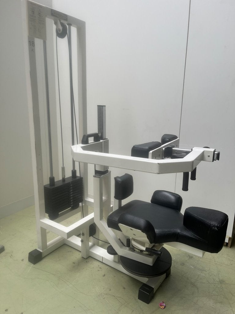 TECHNOGYM - ROTARY TORSO, Ophalen, Krachtstation, Metaal, Buik