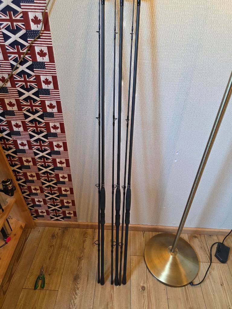 Grade N Dorser hengels 2.75 lb 10 ft, Watersport en Boten, Hengelsport | Karpervissen, Ophalen of Verzenden