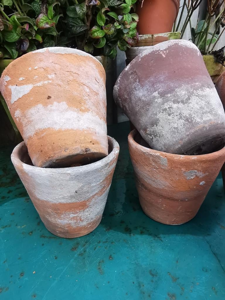 Antieke bloempotjes terracotta potjes 10-12w uniek! Miekje, Ophalen of Verzenden