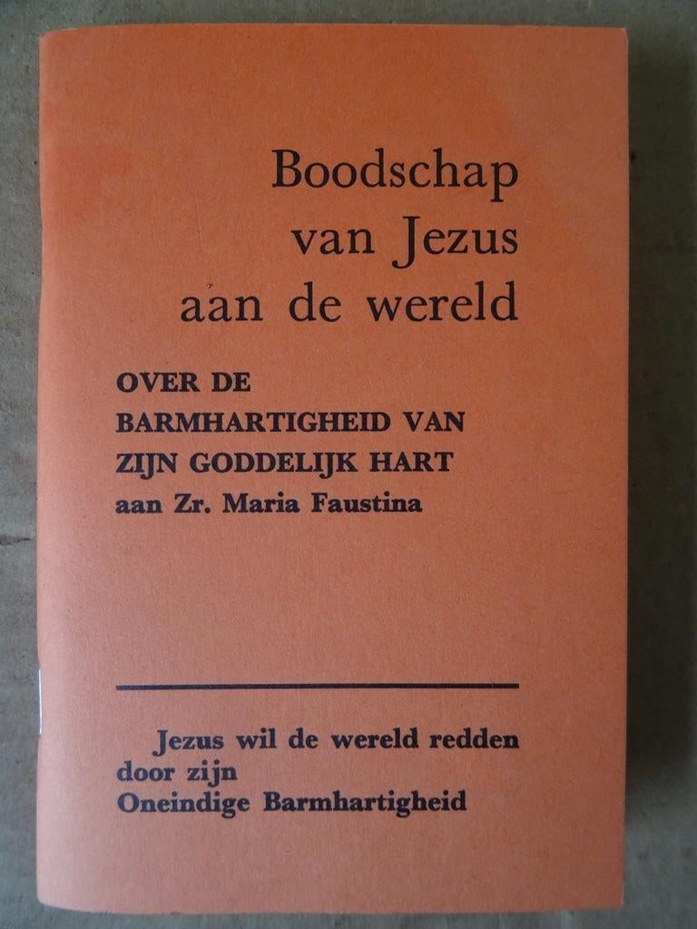 Maria Faustina Boodschap van Jezus aan de wereld + prentjes, Christendom | Katholiek, Ophalen of Verzenden, Zo goed als nieuw
