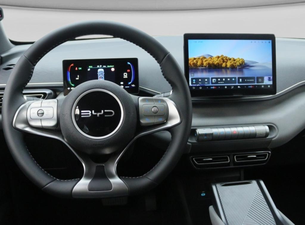 BYD DOLPHIN SURF Boost 43 kWh | Private Lease 399,- p.m. | I, Auto's, BYD, 0 cilinders, Wit, Leder, Te koop