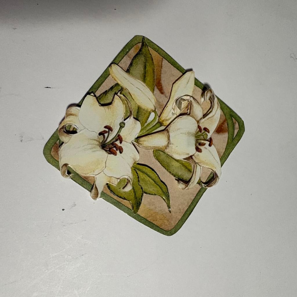 3d plaatje 30, Ophalen of Verzenden, Nieuw, Overige typen