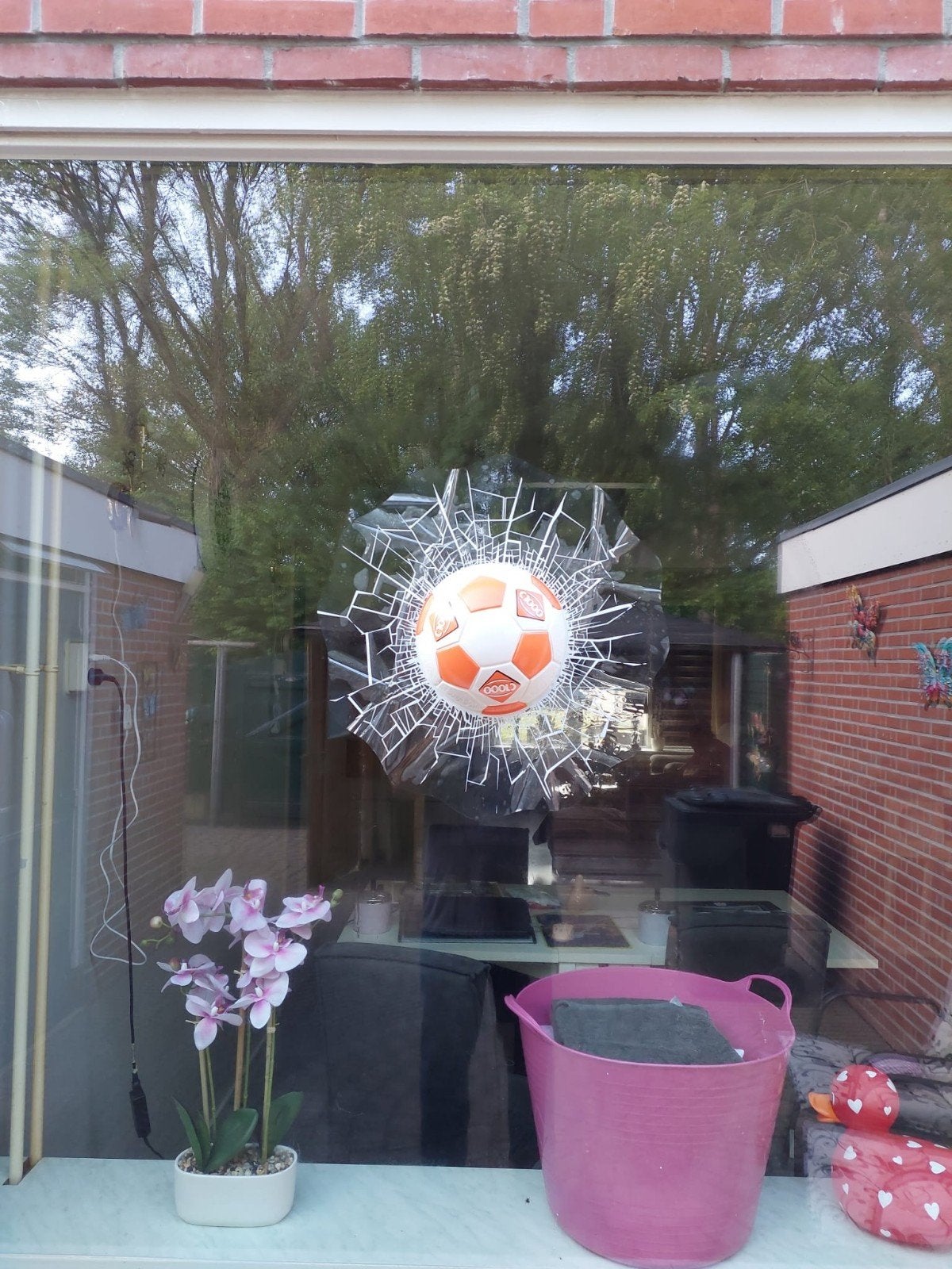 Leuke bal door de ruit sticker van C1000, 50x50, Ophalen of Verzenden, Nieuw, Overige binnenlandse clubs, Poster, Plaatje of Sticker
