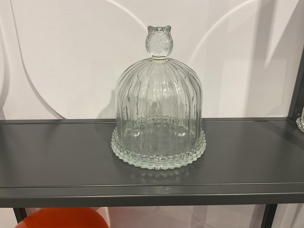 Glazen stolp met uil, Ophalen of Verzenden