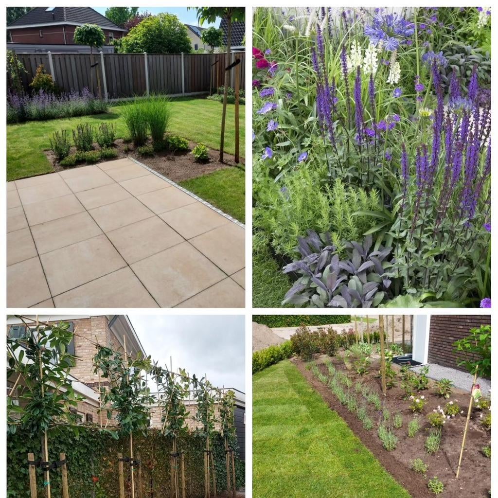 Hovenier, Tuinonderhoud of Snoeiwerk