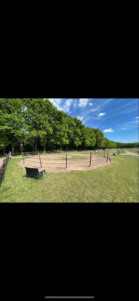 Privestalling op toplocatie nabij Eindhoven bij het bos!, Dieren en Toebehoren, Stalling en Weidegang, 1 paard of pony
