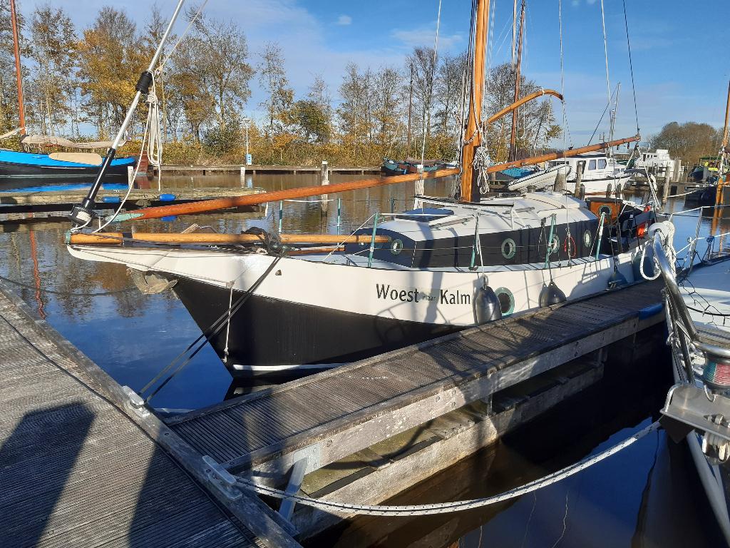 Cormorant 920, uniek schip voor droogvallen en GROOT water!, Watersport en Boten, Kajuitzeilboten en Zeiljachten, Ophalen, Staal