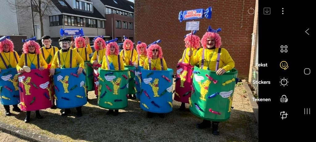 Carnavalskleding Loopgroep, Maat 38/40 (M), Carnaval, Ophalen of Verzenden, Kleding