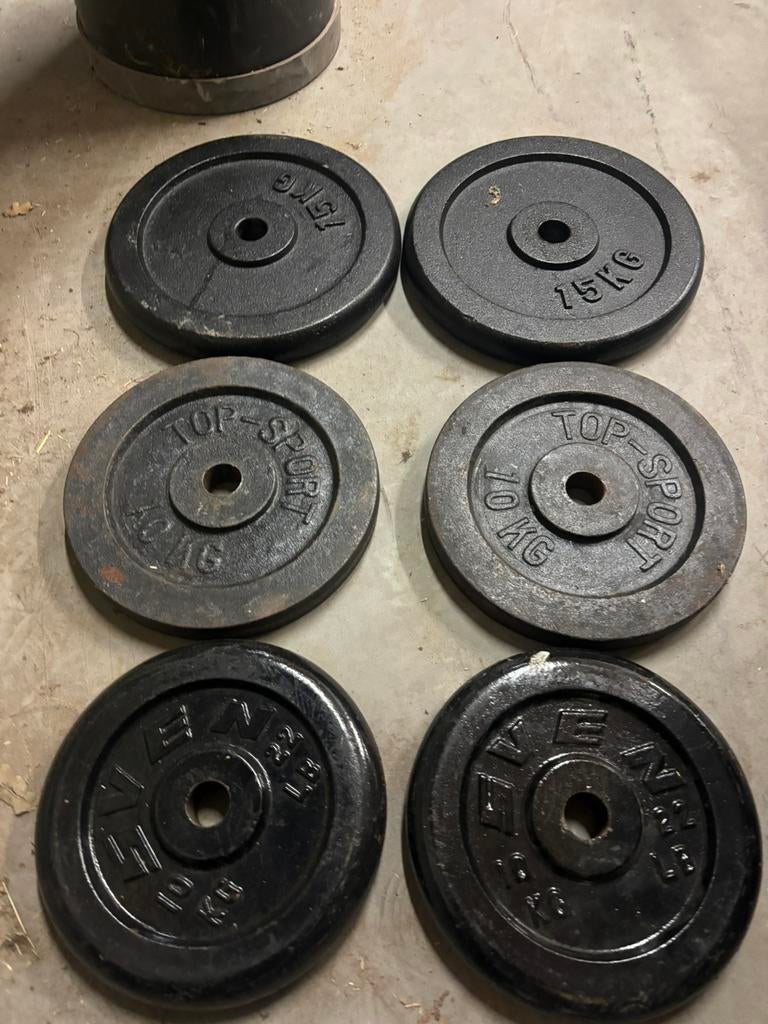 70KG gietijzer 30MM evt met stang, Ophalen of Verzenden, Gebruikt, Benen, Halterschijven