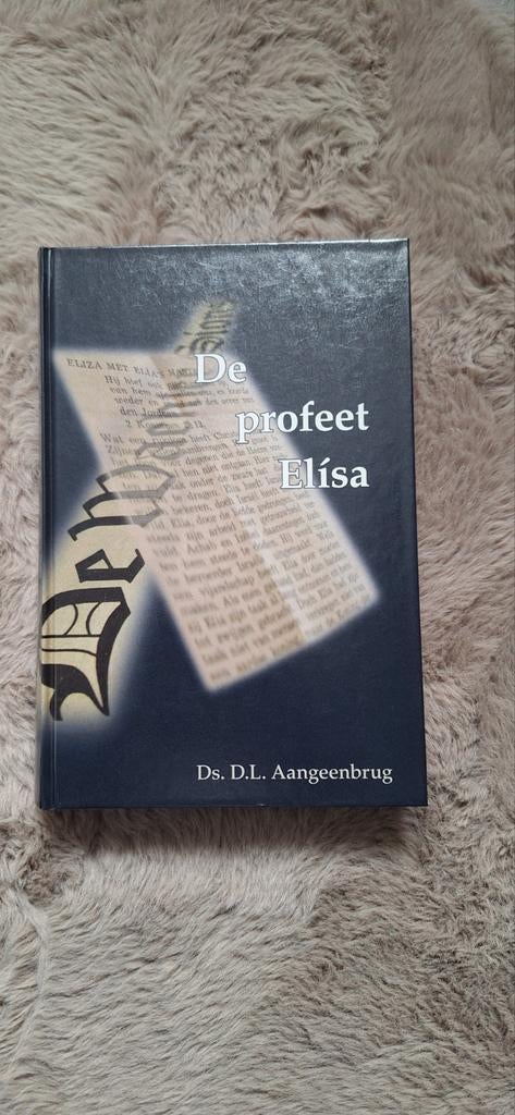 Ds. D.L. Aangeenbrug - De profeet Elísa, Ophalen of Verzenden, Zo goed als nieuw, Ds. D.L. Aangeenbrug