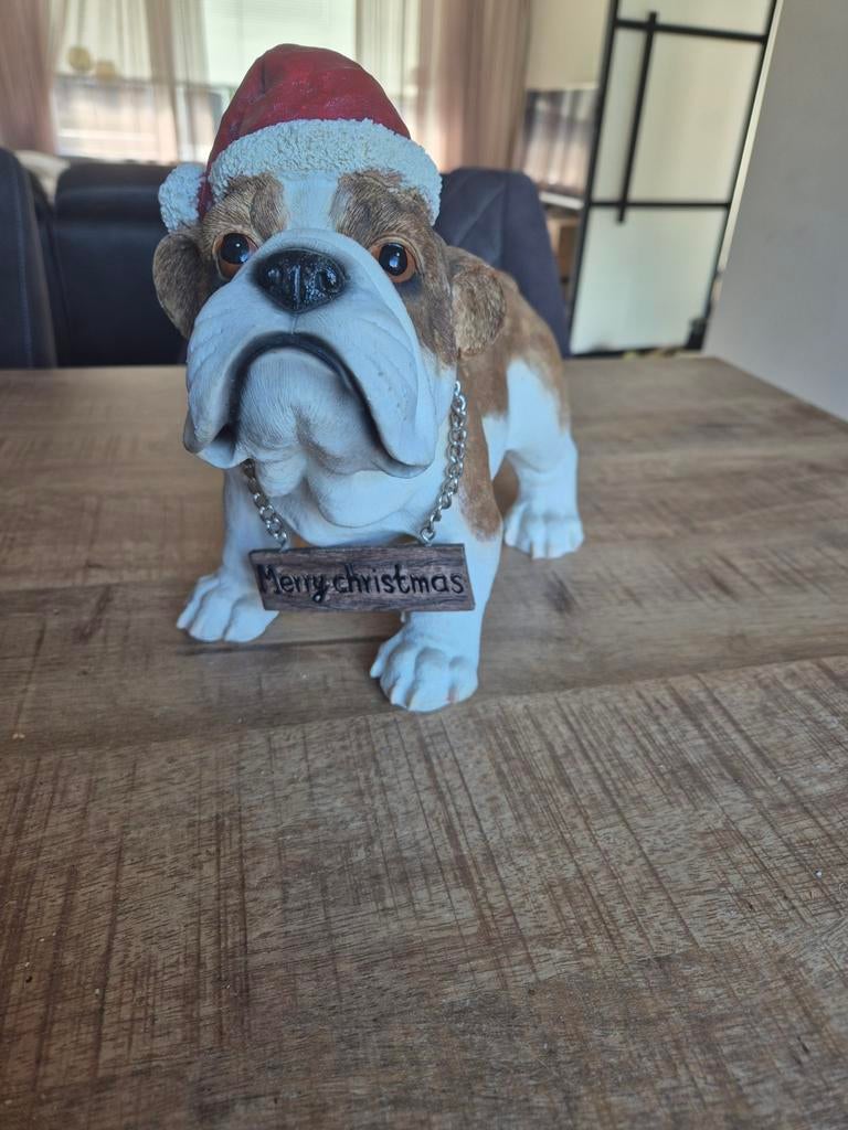 Leuke Engelse bulldog met ketting, Ophalen of Verzenden, Dier