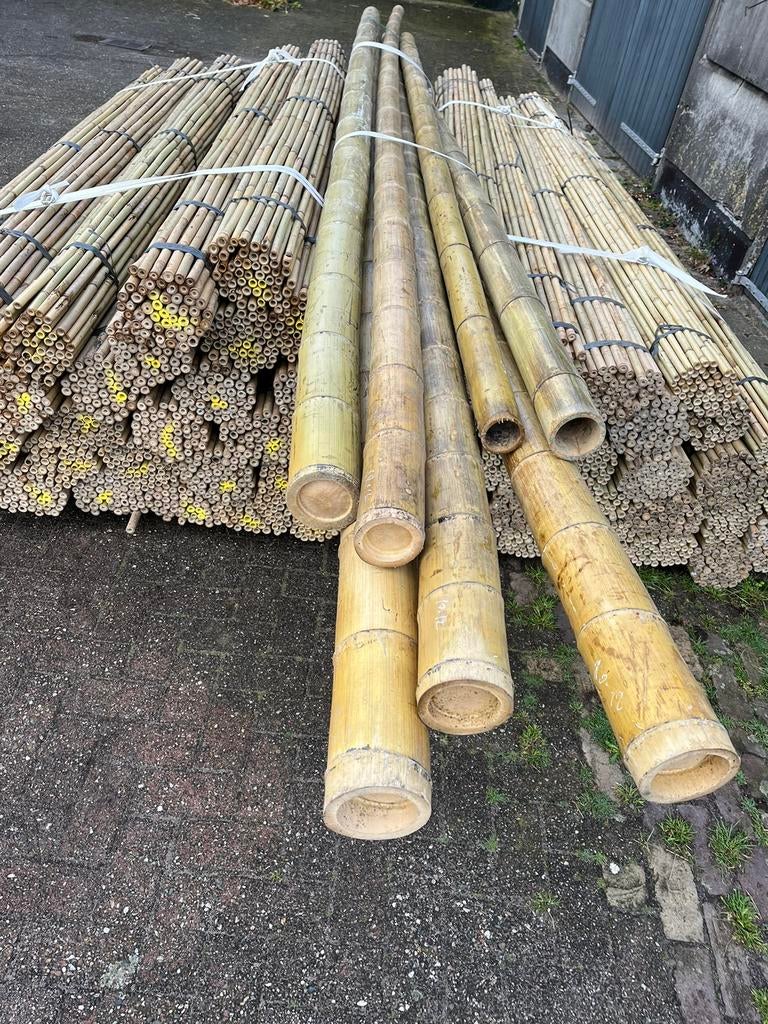 Bonenstokken tonkin bamboestok plantensteun, Ophalen of Verzenden, Nieuw, Overige typen