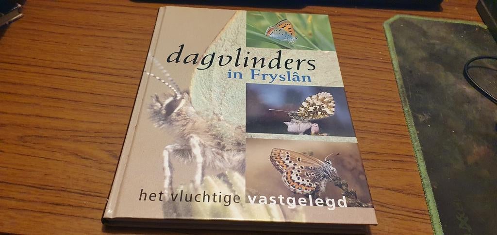 Dagvlinders in Fryslân Het vluchtige vastgelegd, Ophalen of Verzenden, Zo goed als nieuw, Overige onderwerpen