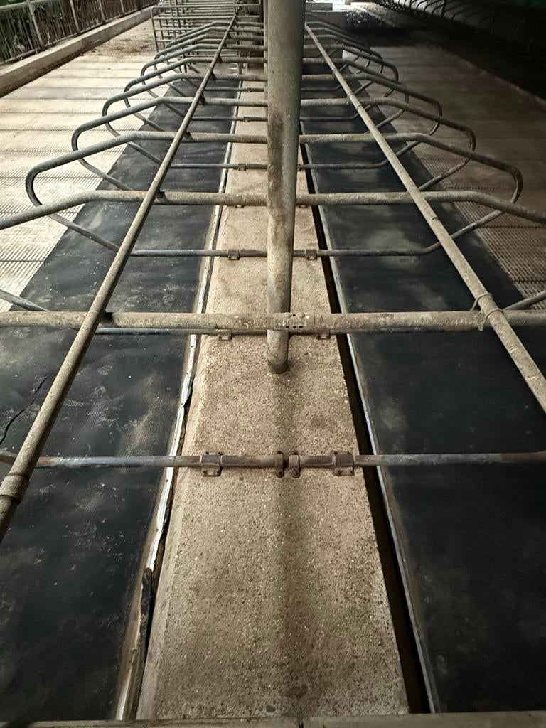 246 Ligboxen - Complete set, Dieren en Toebehoren, Stalling en Weidegang