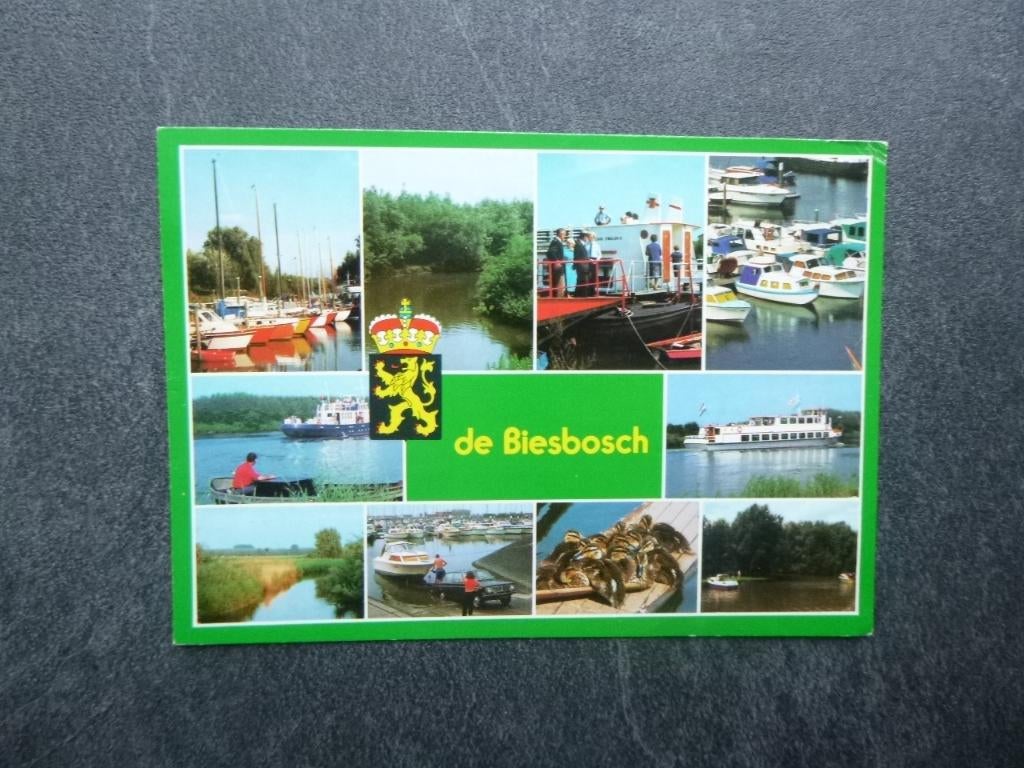 de Biesbosch 1985, Verzenden, 1980 tot heden, Gelopen, Noord-Brabant